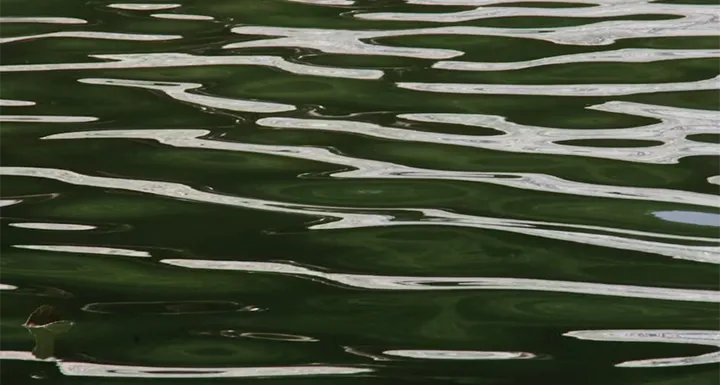 green water background