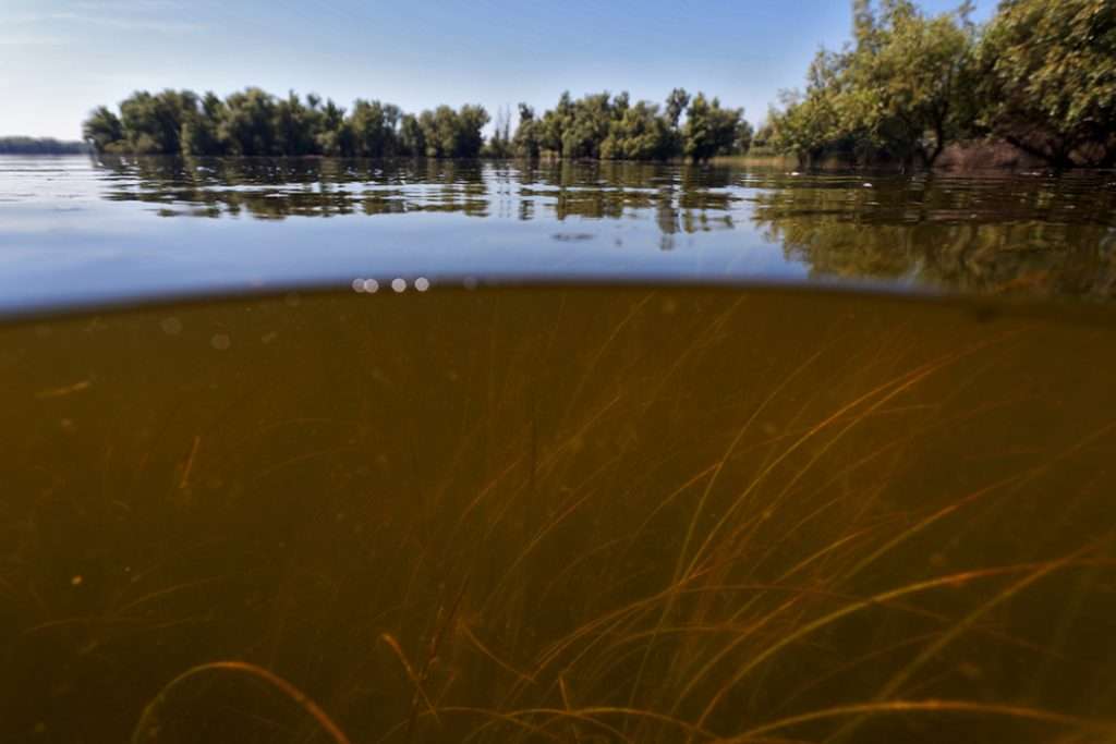 half above half below water photo showing how tought it is to see underwater